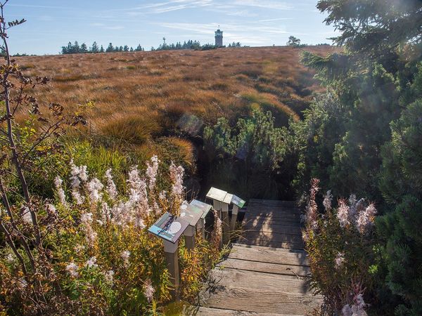 4 entspannte Tage im Schwarzwald mit Frühstück in Baiersbronn