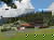 Urlaub mit Hund im Schwarzwald I 6 Tage