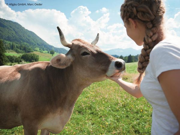 Allgäuer Wohlfühl-Tage in Füssen, Bayern inkl. Halbpension