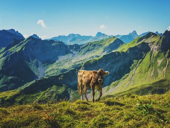 Entspannungswoche im spitzen Wellnesshotel im Allgäu