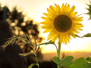 Rennsteiger Sommerschnäppchen - 3 Tage inkl. HP+