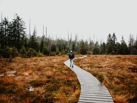 4 Tage im Harz - Unser Winterdeal in Bad Harzburg
