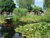 Willkommen im Spreewald! - 2 Tage Erholung im Grünen