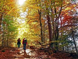 Wanderurlaub Pfälzerwald inkl. Halbpension | 5 Tage