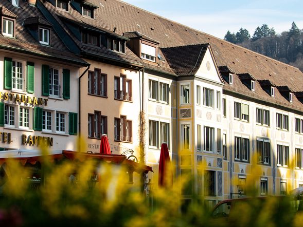 4 Tage Thermenurlaub in Freiburg