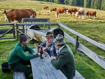 Bayerischer Wald im Zeitlang by Rösslwirt