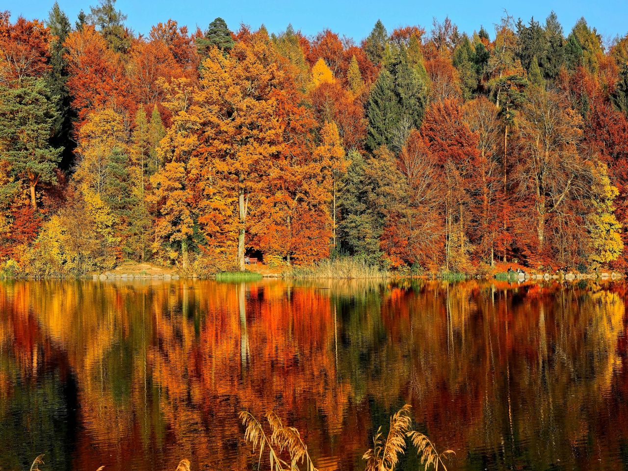 Goldene Auszeit