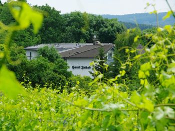 Preisspecial im Odenwald: 4 Nächte zum Preis von 3