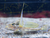 OZEANEUM Stralsund mit Ticket und Hotel
