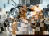 VIP Outlet-Shopping-Reise in Saarbrücken - 2 Tage
