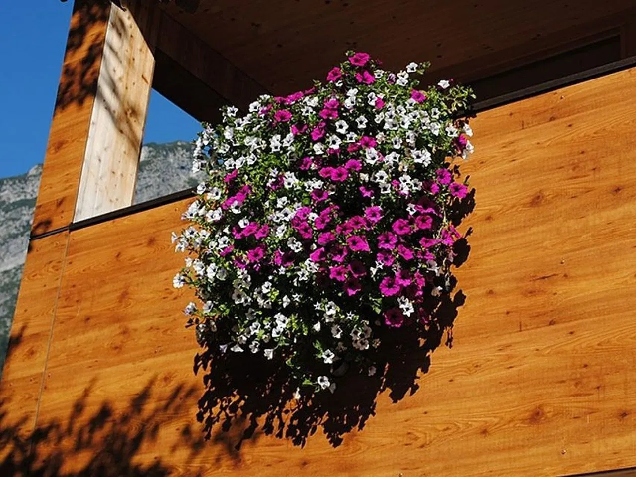 Alpen-Sommer in purer Natur