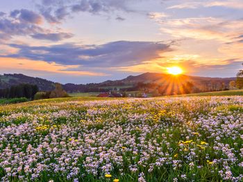 3 Tage Wanderzeit im Allgäu mit Lunchpaket & Wellness