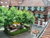 3 Tage Kurzurlaub mit HP im Hotel Baren