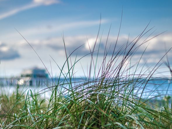 Hot Spot Timmendorfer Strand: 4 Tage im Boutiquehotel