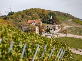 Bild 9 von 84