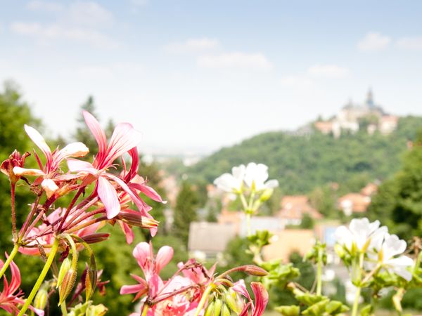 3 Tage exklusive Harzreise in Wernigerode, Sachsen-Anhalt inkl. Frühstück