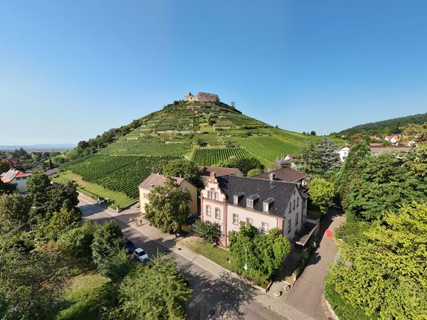 4 Tage Wandern: Weinberge und Schwarzwaldlandschaften in Staufen, Baden-Württemberg inkl. Frühstück
