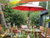Herrchen & Frauchen mit ihrem Liebling am Ostseestrand - Hundearrangement