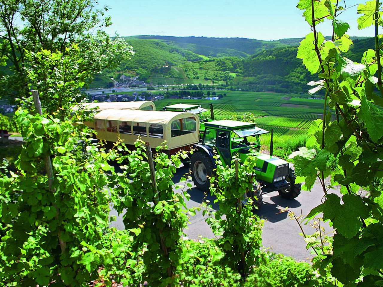 MOSEL-ERLEBNISWOCHE