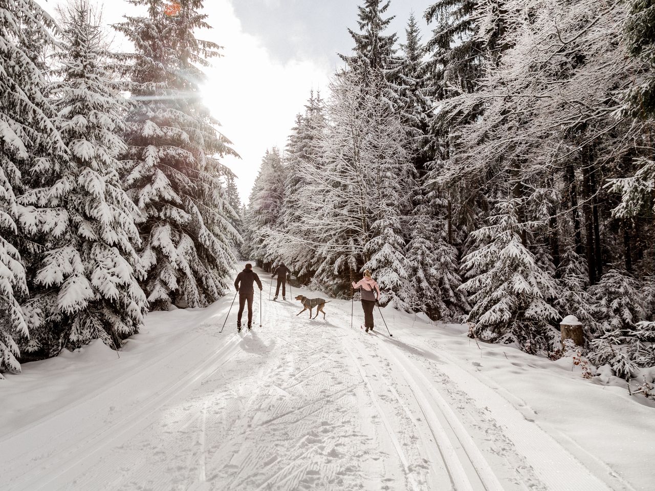 5 Tage Vogtland Wanderfreude: Ich und die Natur