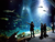 Tierpark und Tropen Aquarium Hagenbeck in Hamburg mit Hotel