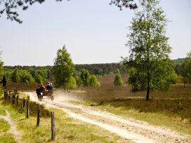 Kurztrip Lüneburger Heide