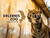 Erlebnis-Zoo Hannover mit Hotel