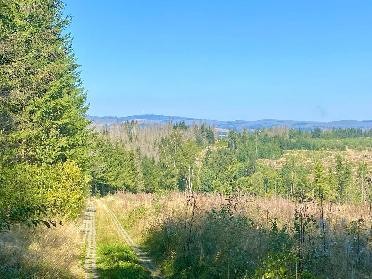 Mit Volldampf auf den Gipfel / 5 Tage im Harz