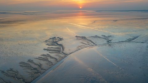 Wattenmeer 