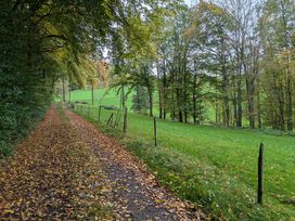 5 Tage Naturerlebnis Teutoburger Wald mit HP