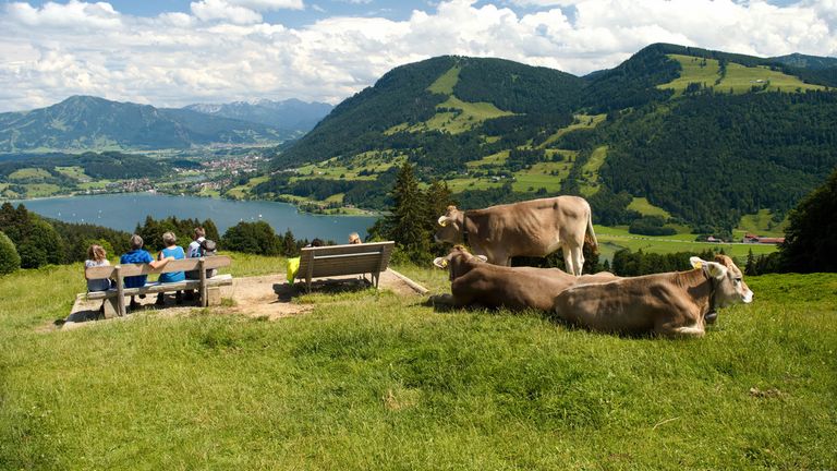 Allgäu