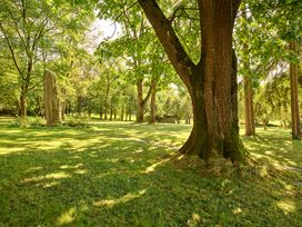 2 Nächte Deal: 3 Tage Gesundheit für die Seele: Waldbaden mal anders