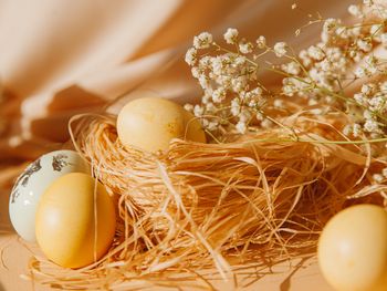 Frohe Ostern