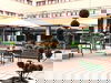 Braunschweig entdecken - 3 Tage
