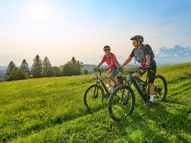 4 Tage Adventszauber am Main mit Abendessen