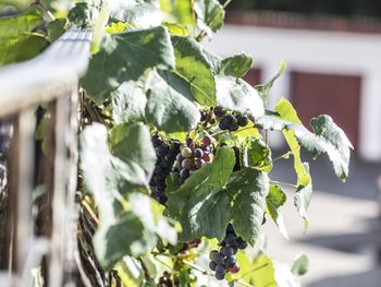 Bild 8 von 25