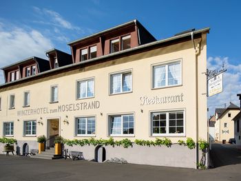 Moselsteig aktiv: Den Fluss von der anderen Seite entdecken