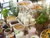 2 Tage Kurzurlaub mit Frühstück im Baltic Park Molo Apartments by Zdrojowa