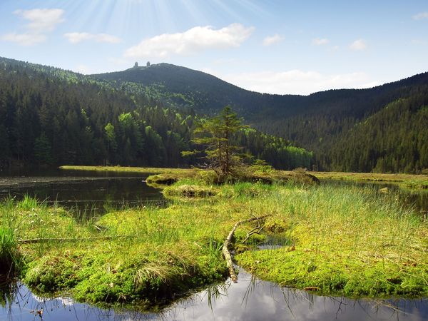 9 Tage im Hotel Ahornhof mit Frühstück in Lindberg, Bayern inkl. Frühstück