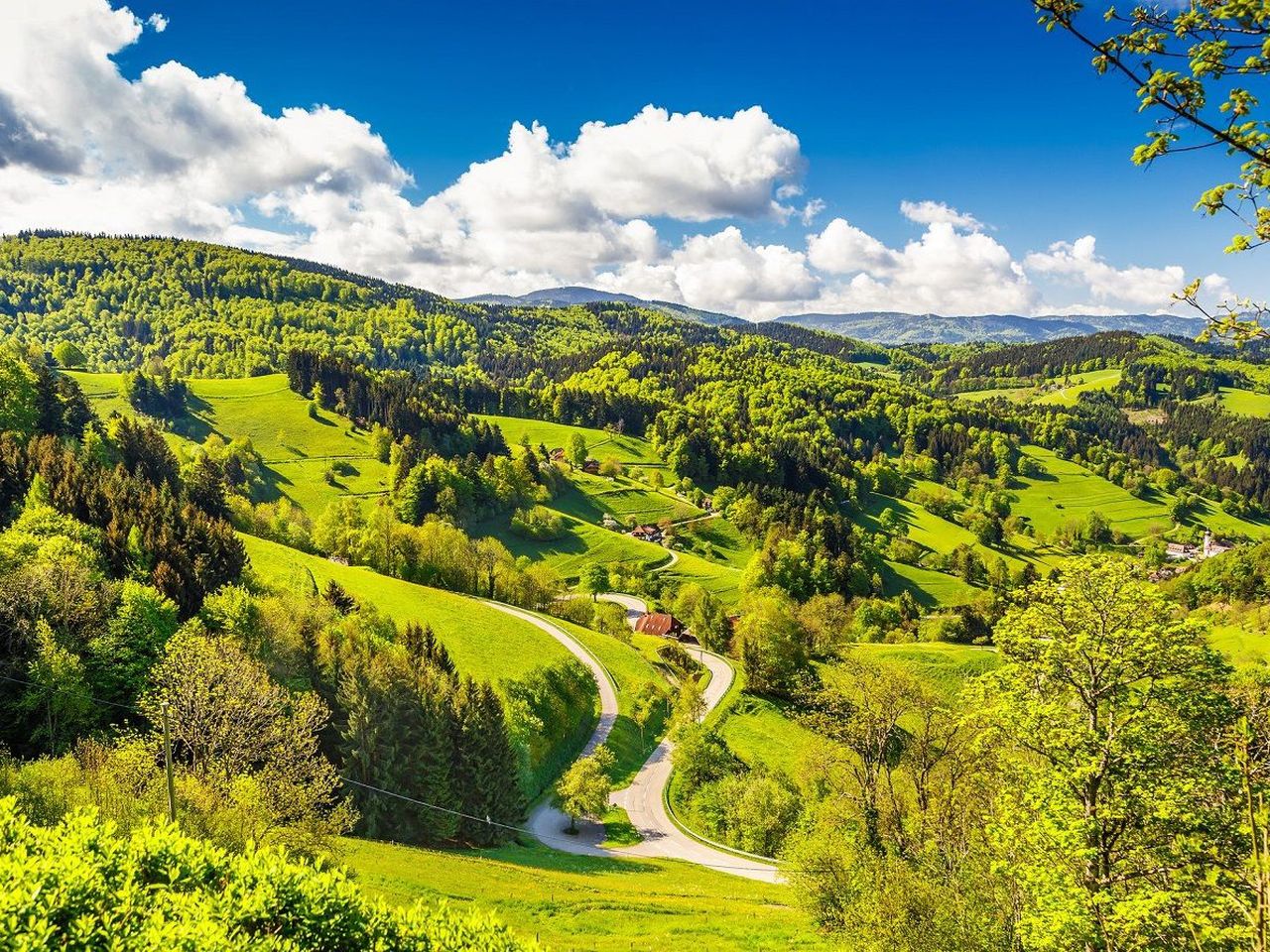 Zauberhafte Stunden im Schwarzwald