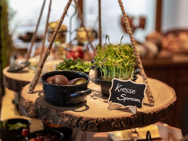 3 Tage Aktivurlaub und Wellness nahe Zell am See - 2 Nächte in Piesendorf, Salzburg inkl. Frühstück