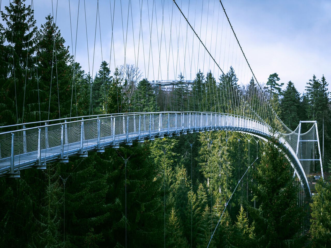 Wanderspaß im Nordschwarzwald: 8 Tage aktive Auszeit