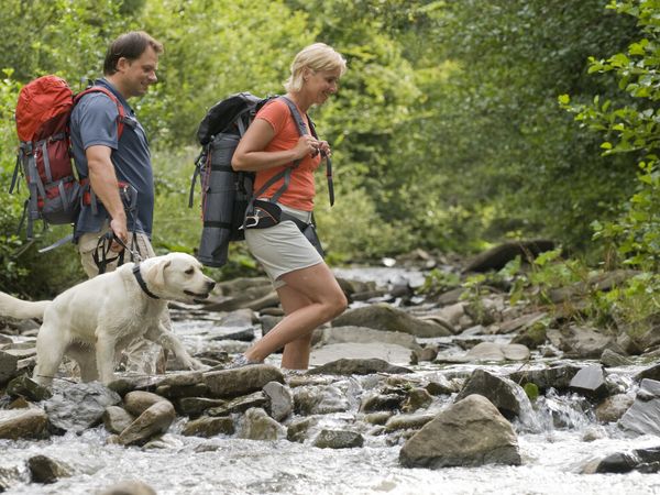 6 Tage Familienzeit mit Ihrem Haustier im Schwarzwald in Bad Herrenalb Frühstück