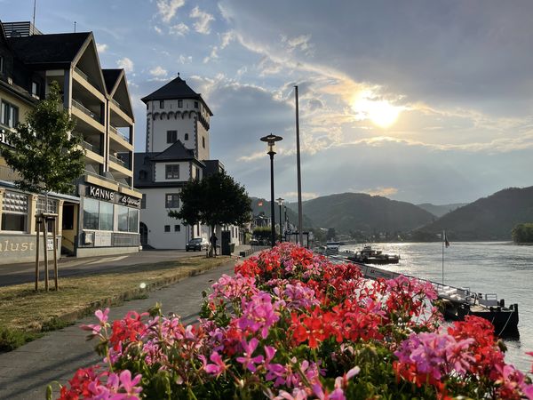 7 Tage Rhein-Sommer-Spezial in Boppard, Rheinland-Pfalz inkl. Halbpension