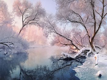 Weihnachten in der Mecklenburgischen Seenplatte