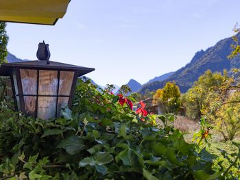 3 Tage Wellnessauszeit & Thermenbesuch im Chiemgau