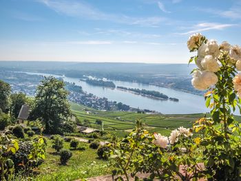 Rüdesheim vom Schiff erleben inkl. Weinprobe