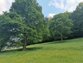 6 Tage Wanderurlaub in der Eifel