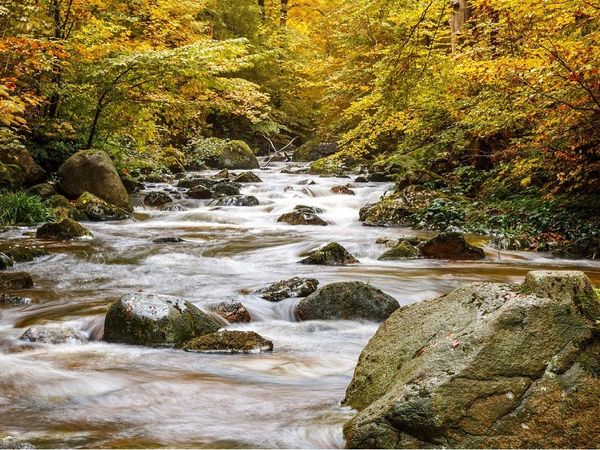 3 Tage Harzerlebnis pur in Thale, Sachsen-Anhalt inkl. Frühstück