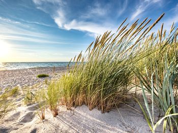 Ostsee-Auszeit mit Abendessen am Anreisetag